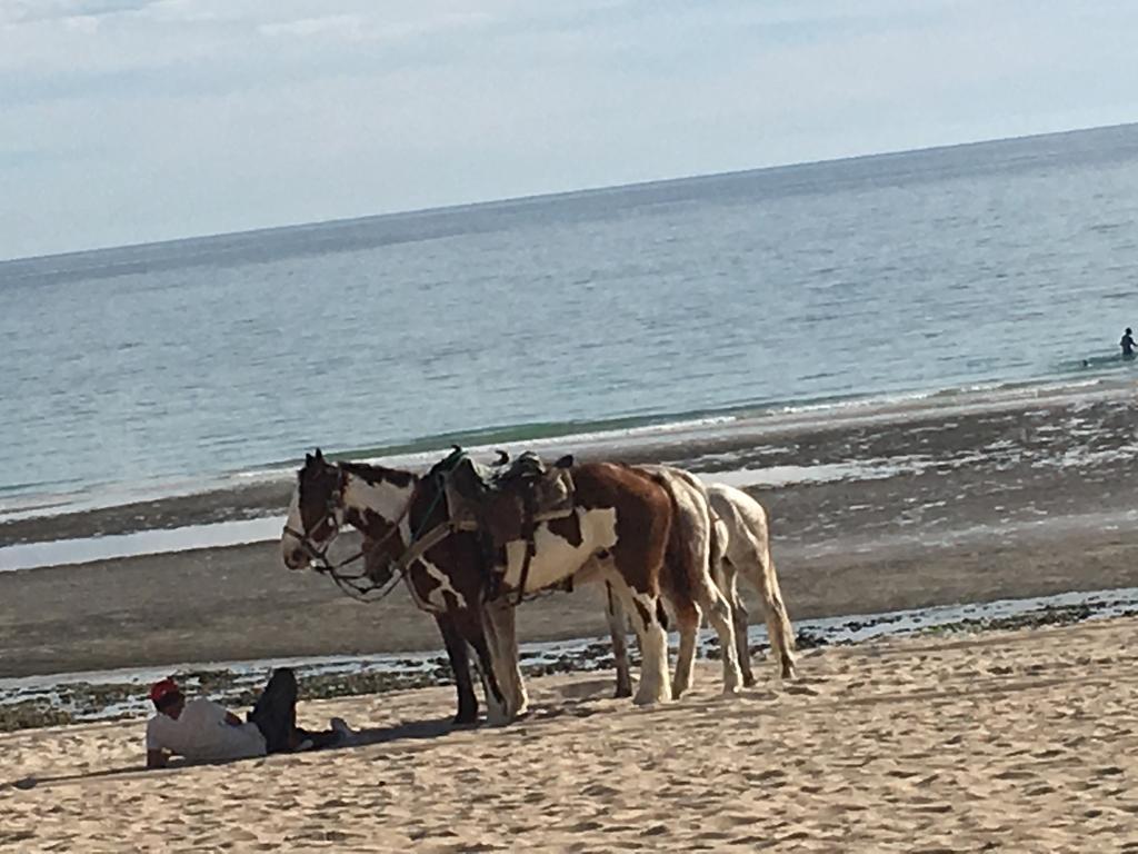 פורטו פנאסקו Sea-Esta Condo On The Beach מראה חיצוני תמונה