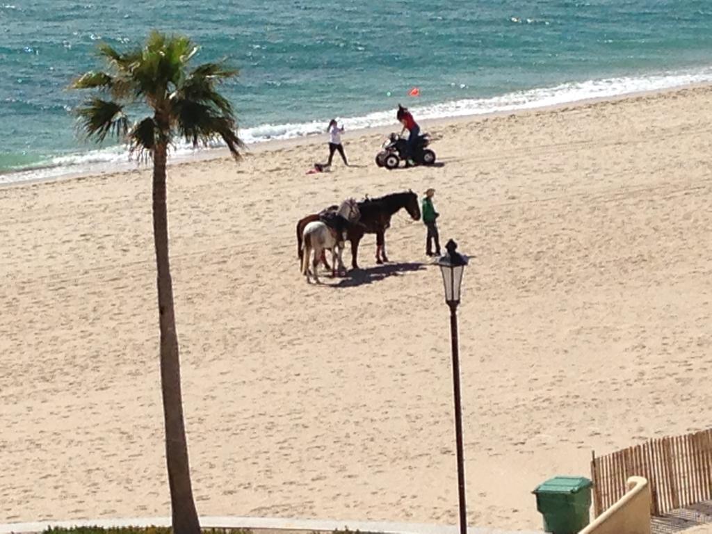 פורטו פנאסקו Sea-Esta Condo On The Beach מראה חיצוני תמונה